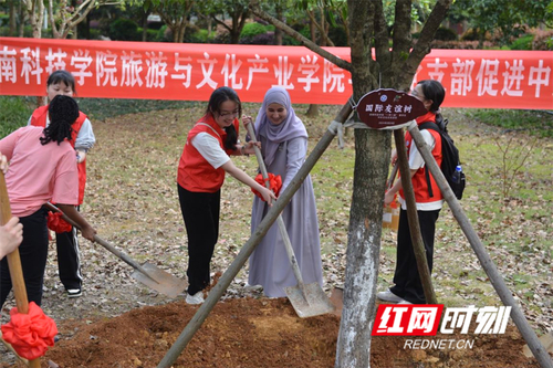 友谊树.jpg 友谊树.jpg