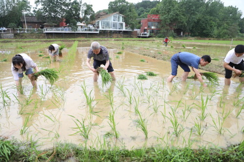 九州线上平台积极推动大中小学“五育并举”一体化