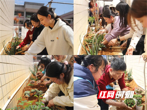 植树节.jpg 植树节.jpg