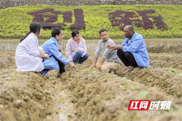 微信图片_20241129151743.jpg 微信图片_20241129151743.jpg