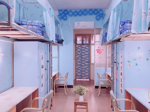 桃四B组109IMG_1267