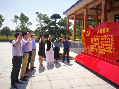 d19ea01c2282d1e3cc70bf9a6aa3f0e